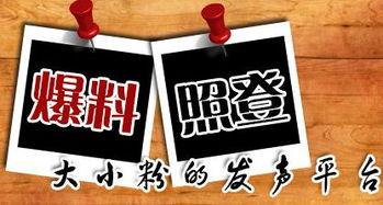 新媒体最新爆料,新媒体最新爆料,带你走进神秘事件背后 第1张 新媒体最新爆料,新媒体最新爆料,带你走进神秘事件背后 第1张